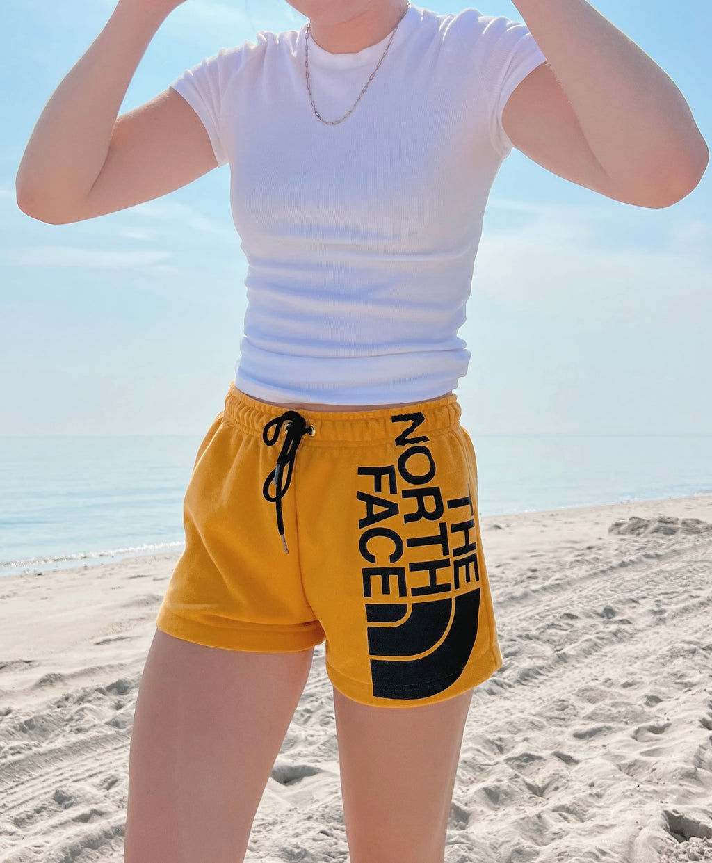 (XS/S) Explorer 1/1 Shorts