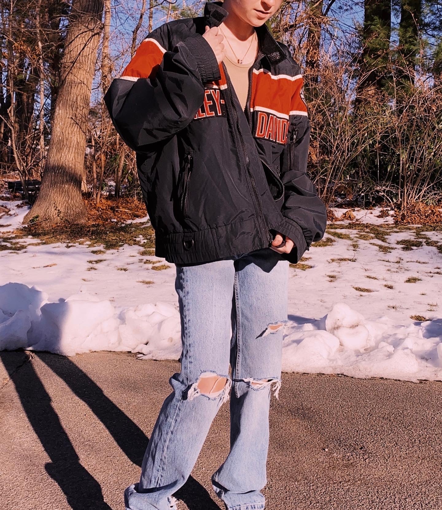 (L) Vintage Harley Davidson Windbreaker