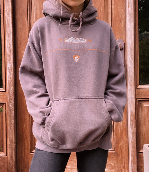 (L) Vintage Brown Glaciar Park Hoodie