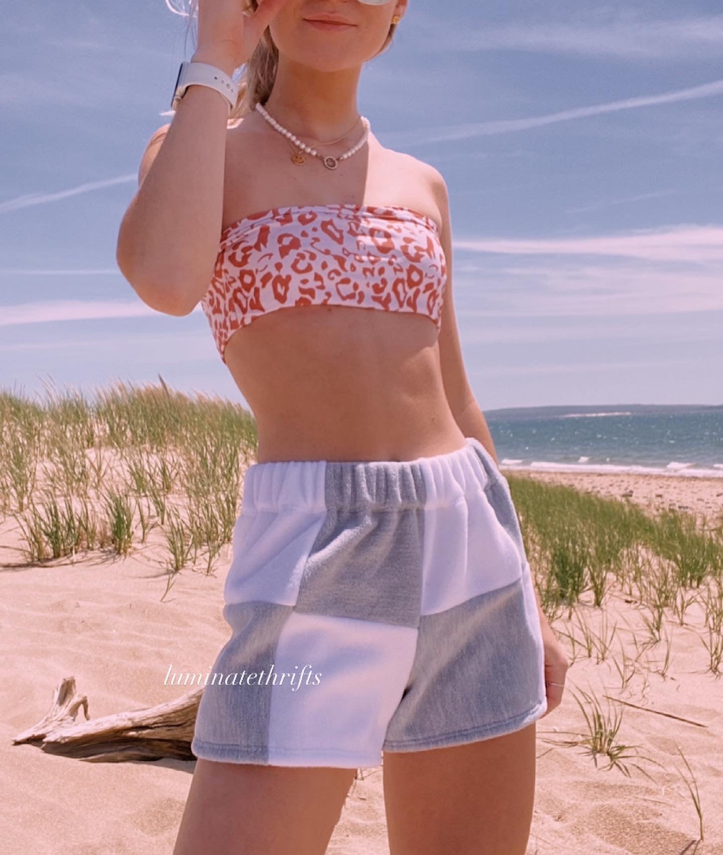 Ash Grey Colorblock Shorts