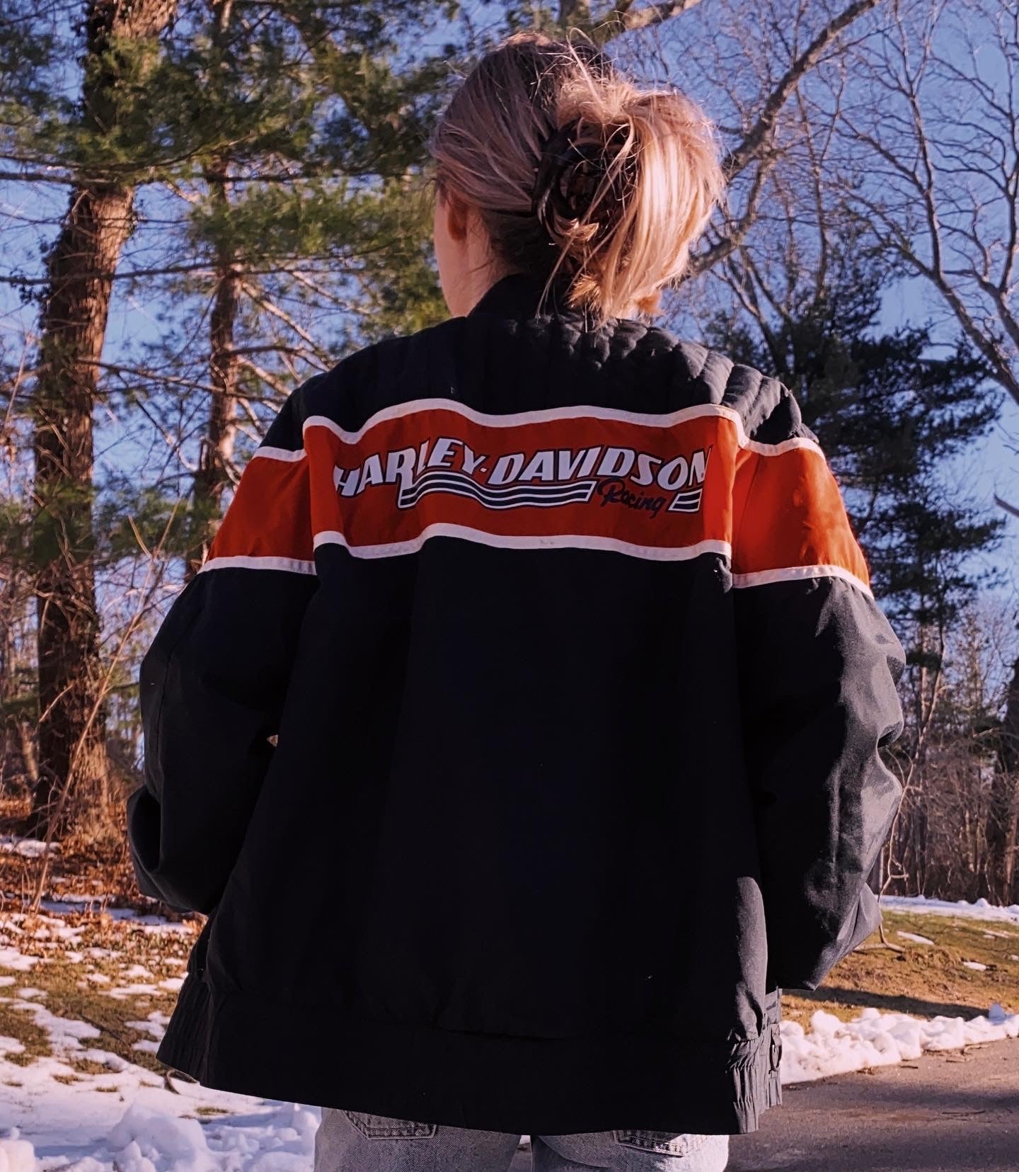(L) Vintage Harley Davidson Windbreaker