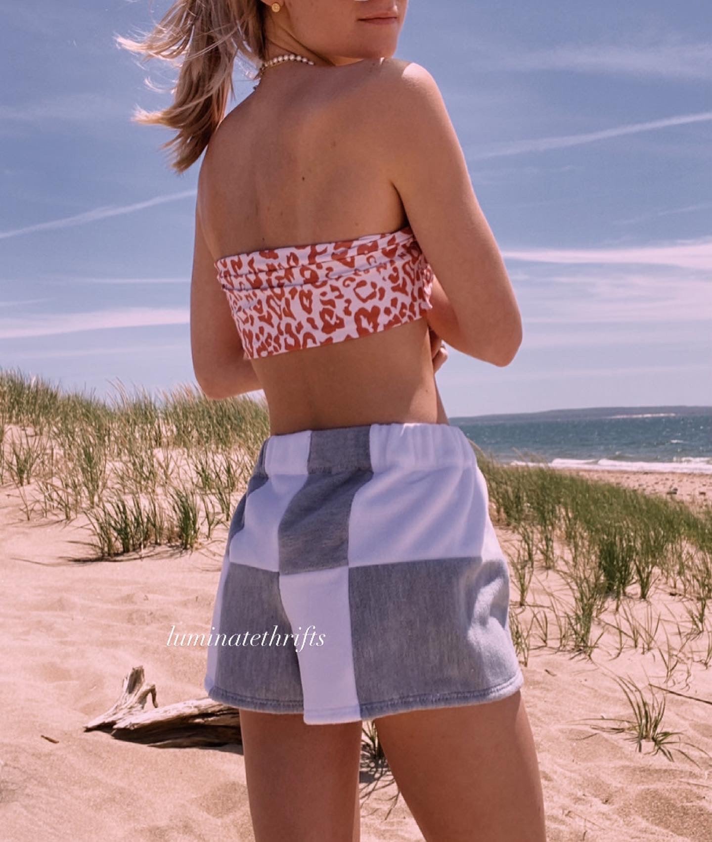 Ash Grey Colorblock Shorts