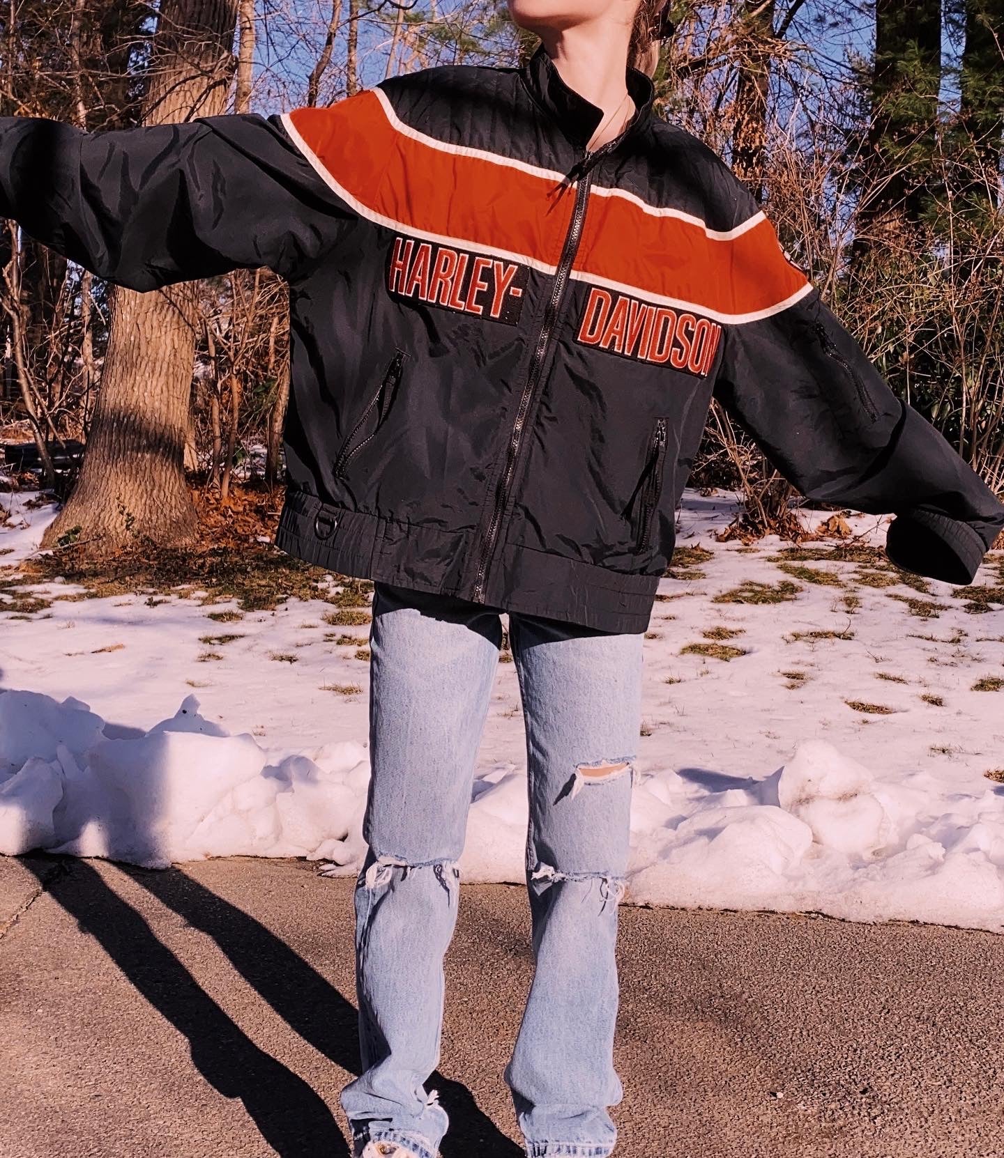 (L) Vintage Harley Davidson Windbreaker